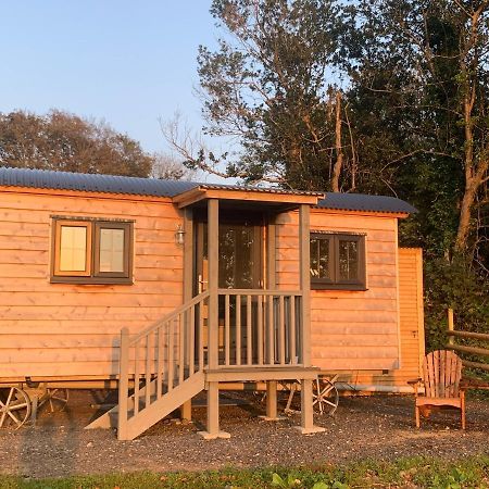Lle Mary - Beautiful Views, Hot Tub, Secluded, Dog Welcome, Barmouth Llanddwywe Buitenkant foto