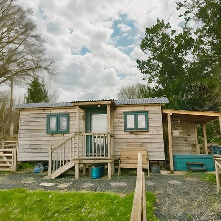 Lle Mary - Beautiful Views, Hot Tub, Secluded, Dog Welcome, Barmouth Llanddwywe Buitenkant foto