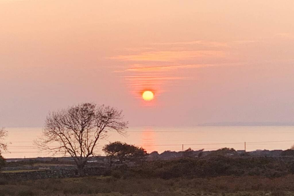 Lle Mary - Beautiful Views, Hot Tub, Secluded, Dog Welcome, Barmouth Llanddwywe Buitenkant foto