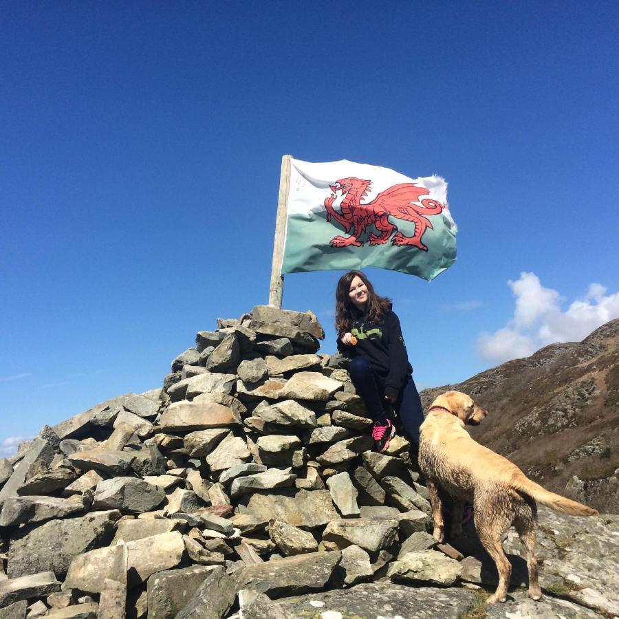 Lle Mary - Beautiful Views, Hot Tub, Secluded, Dog Welcome, Barmouth Llanddwywe Buitenkant foto