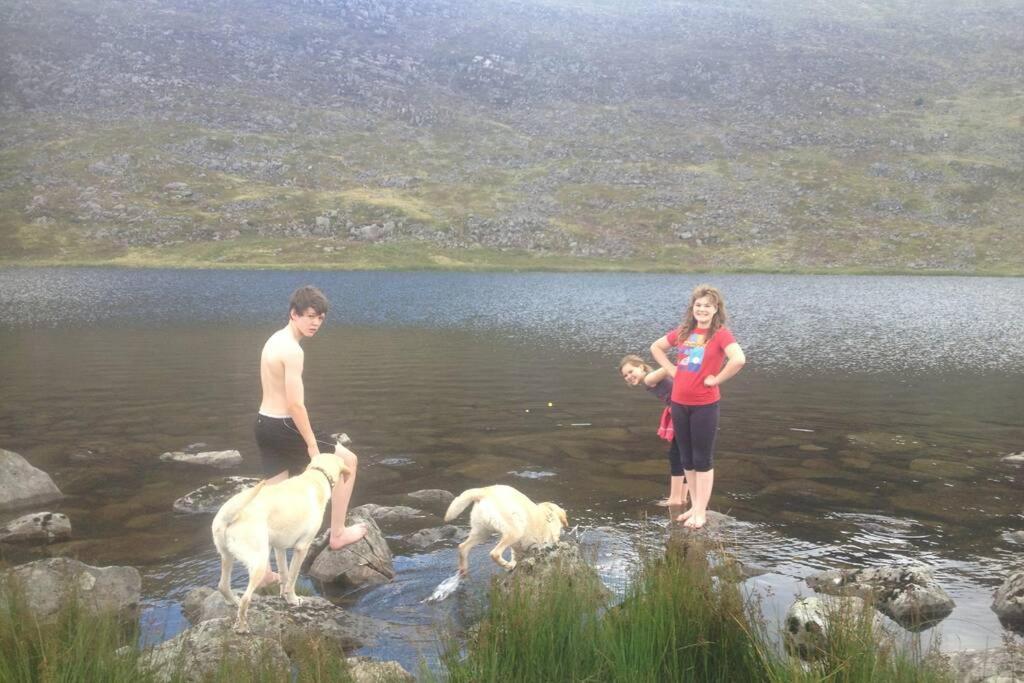 Lle Mary - Beautiful Views, Hot Tub, Secluded, Dog Welcome, Barmouth Llanddwywe Buitenkant foto