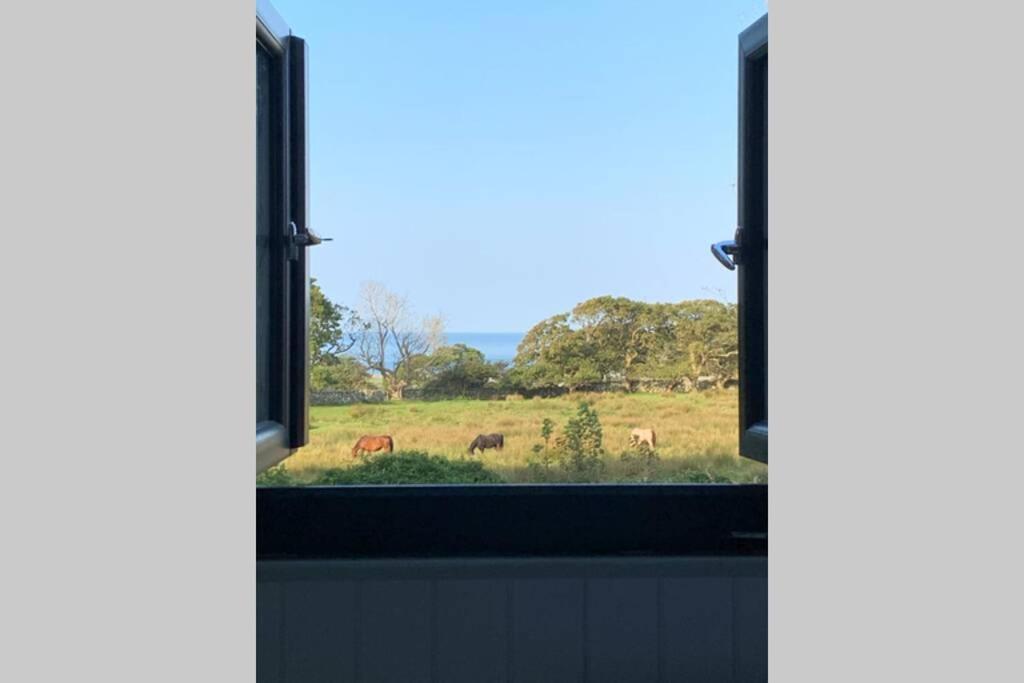 Lle Mary - Beautiful Views, Hot Tub, Secluded, Dog Welcome, Barmouth Llanddwywe Buitenkant foto